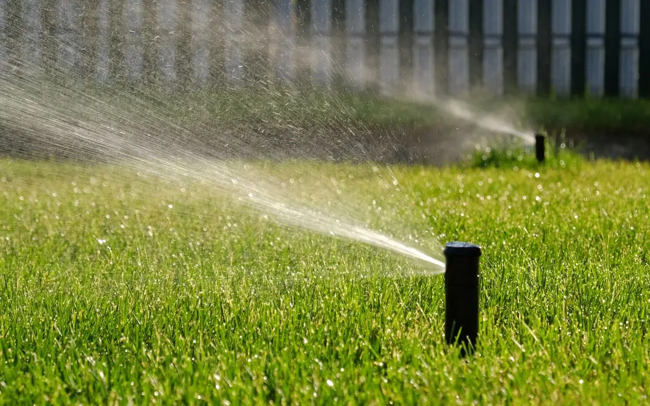 Stai sprecando acqua con l’irrigatore da giardino: ecco quanti litri consuma davvero in un’ora