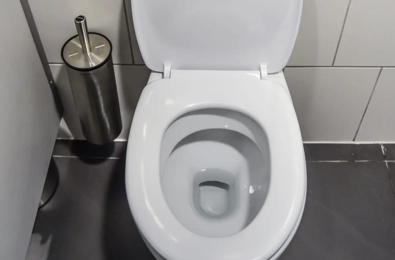 Incrostazioni ostinate nel WC? Ecco il metodo definitivo per scioglierle senza fatica